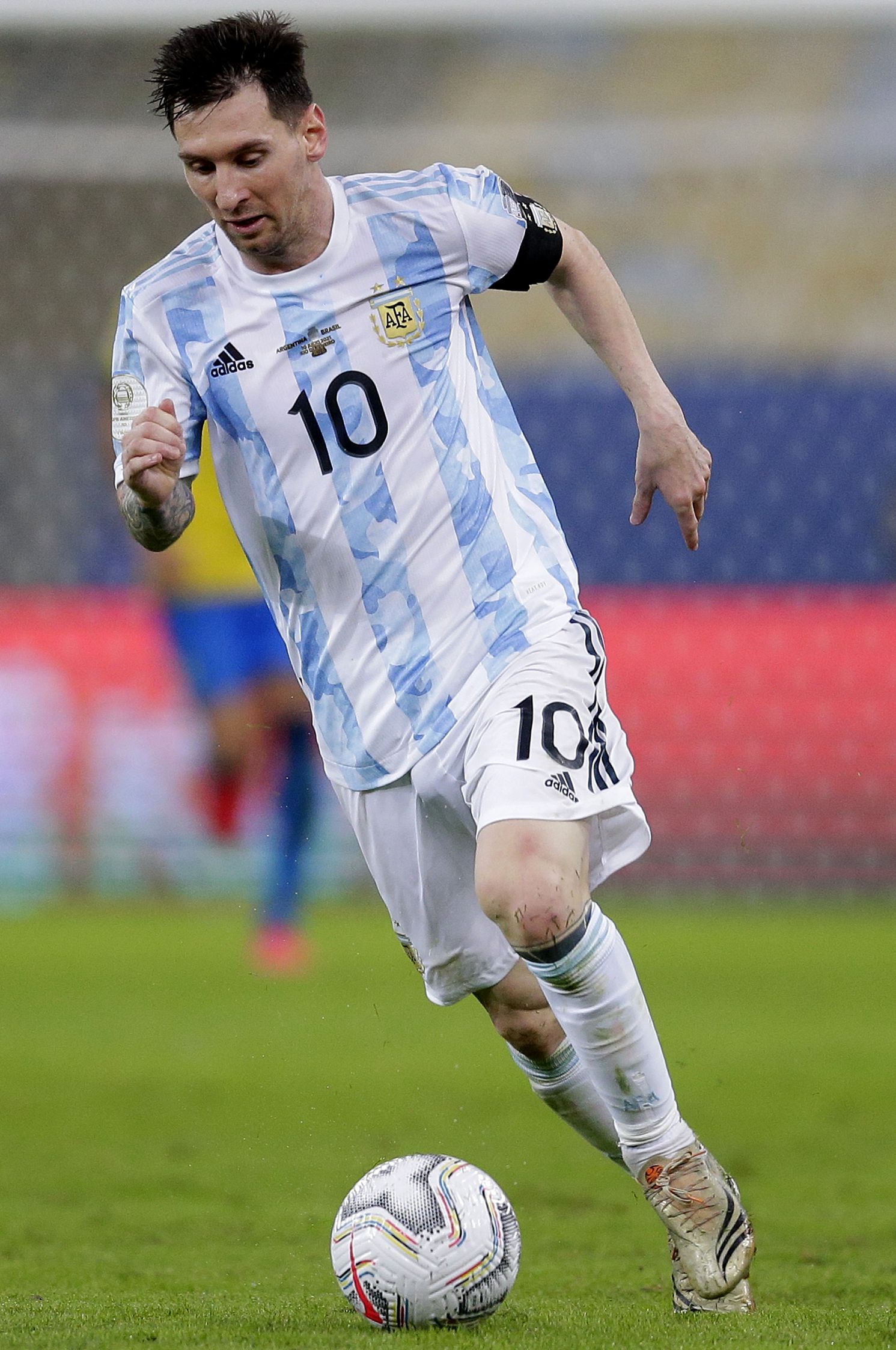 仅提升了丹 仅提升了丹