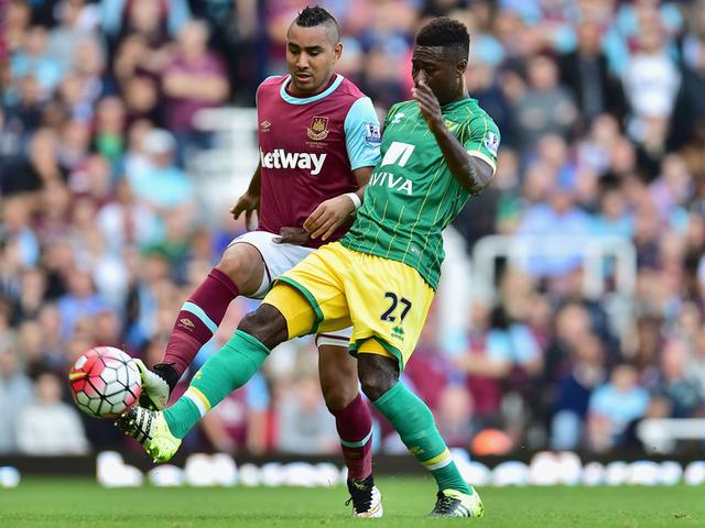 体表现稳步 体表现稳步